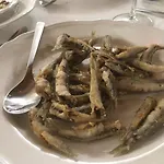 Pumadamuri