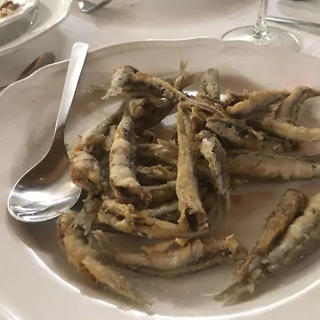Pumadamuri