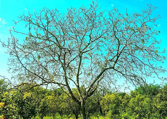 Bauernhof Pumadamuri *