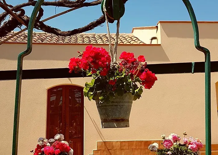 Pumadamuri Acireale