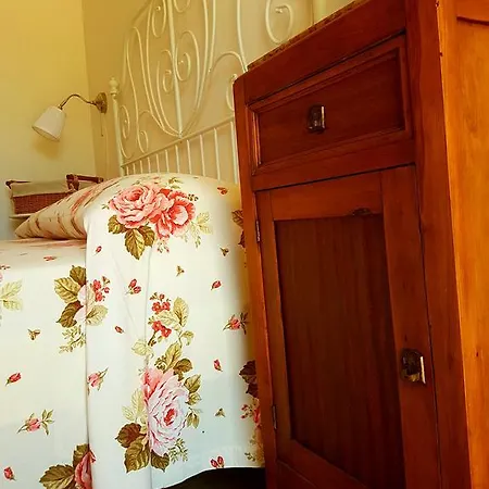 Pumadamuri * Acireale