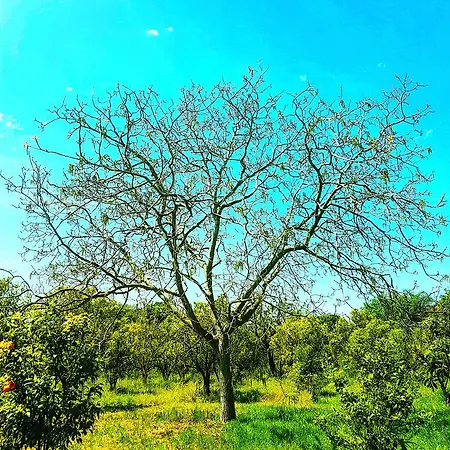 Farmház Pumadamuri *