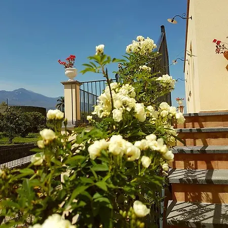 Pumadamuri Farmház *