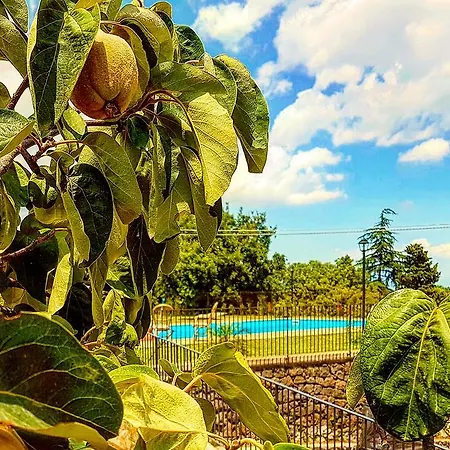 Alloggio per agriturismo Pumadamuri