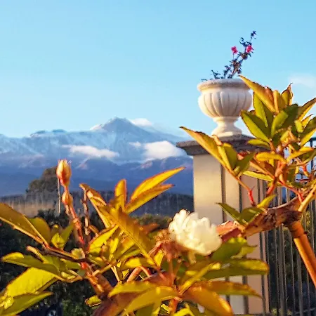 Pumadamuri * Acireale