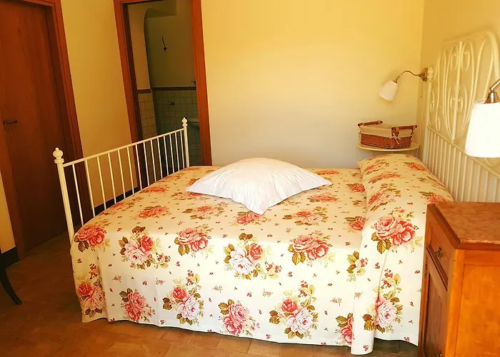 Pumadamuri * 阿奇雷亚莱