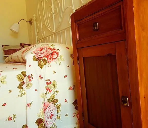 Pumadamuri * 阿奇雷亚莱