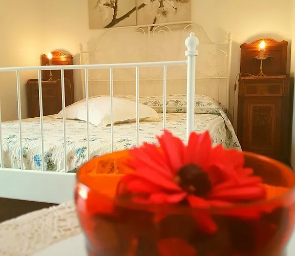 农家乐 Pumadamuri