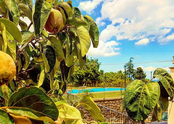 农家乐 Pumadamuri