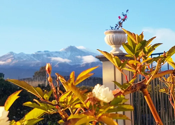 Pumadamuri * 阿奇雷亚莱