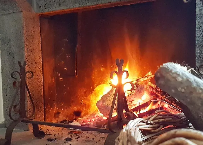 Pumadamuri * 阿奇雷亚莱