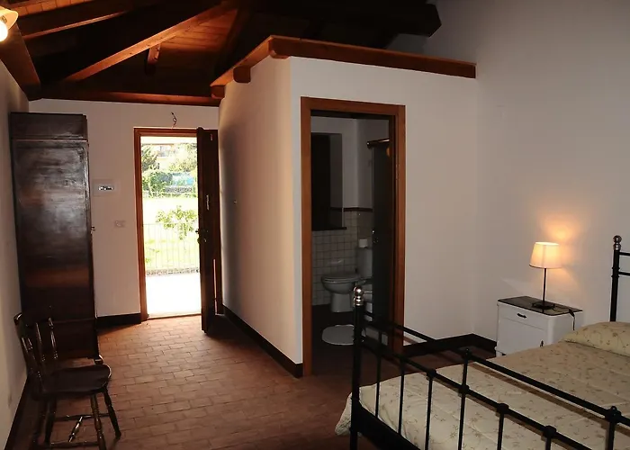 Pumadamuri 阿奇雷亚莱